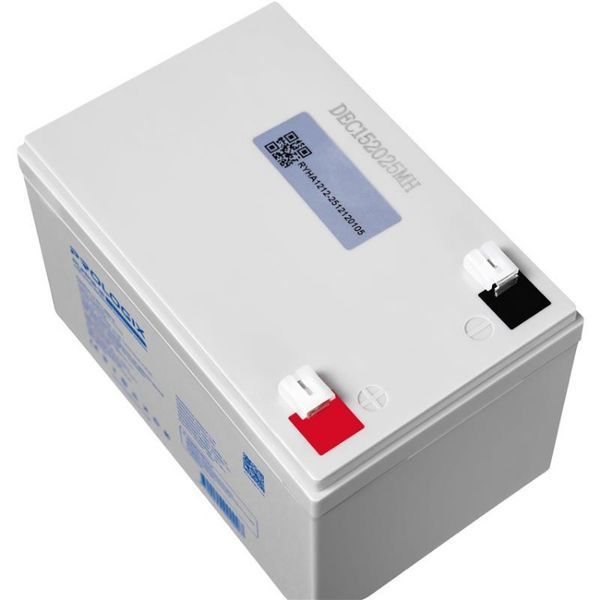 Prologix 12.8V 12AH 153.6Wh LiFePO4 battery